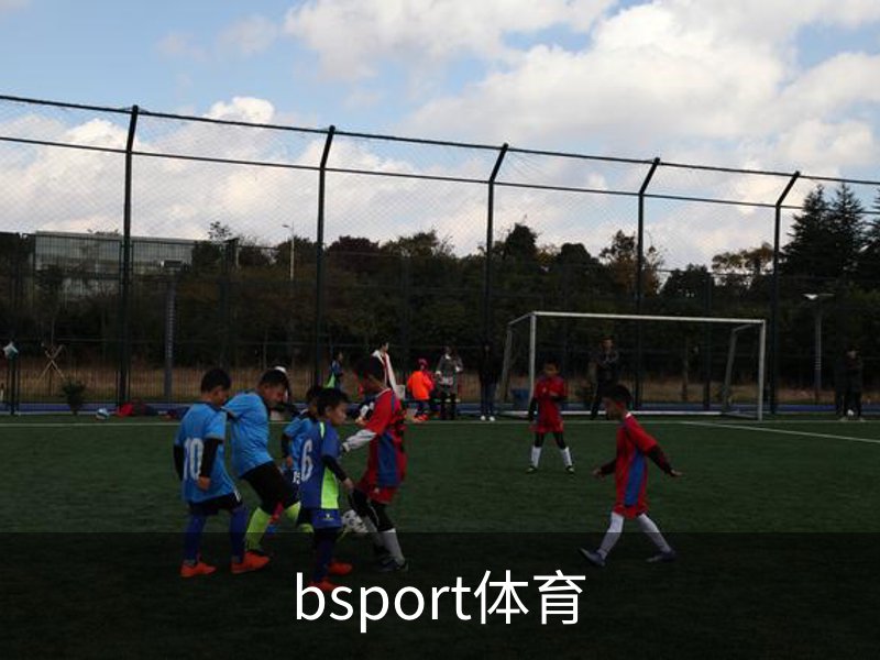了解bsport体育